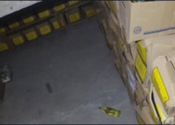 Frustran intento de incendio en archivo municipal de Tula de Allende