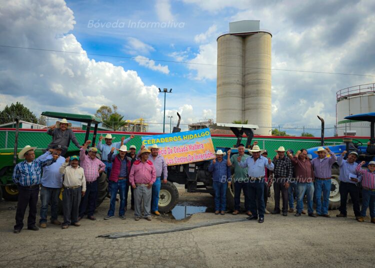 Heineken vs. Productores Mexicanos: La Batalla por el Precio de la Cebada