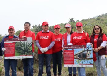 Grupo Rica y aliados se suman a la reforestación Hidalgo 2024