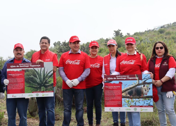 Grupo Rica y aliados se suman a la reforestación Hidalgo 2024