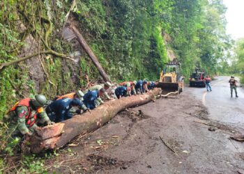 Liberan carretera en Tlanchinol, tras deslave