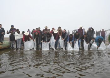 Saderh impulsa la recuperación acuícola en Hidalgo con siembra de crías de peces