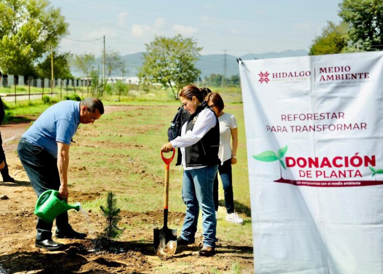Reforesta IMSS Hidalgo junto con SEMARNATH áreas verdes en unidades médicas, administrativas y sociales