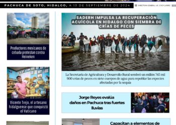 Viernes, 13 de septiembre de 2024