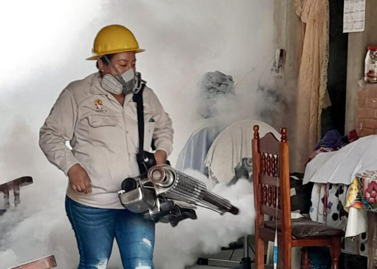 Panorama Estatal del dengue