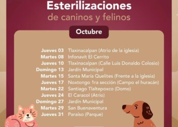 Campaña de Esterilización Gratuita en Tepeji del Río