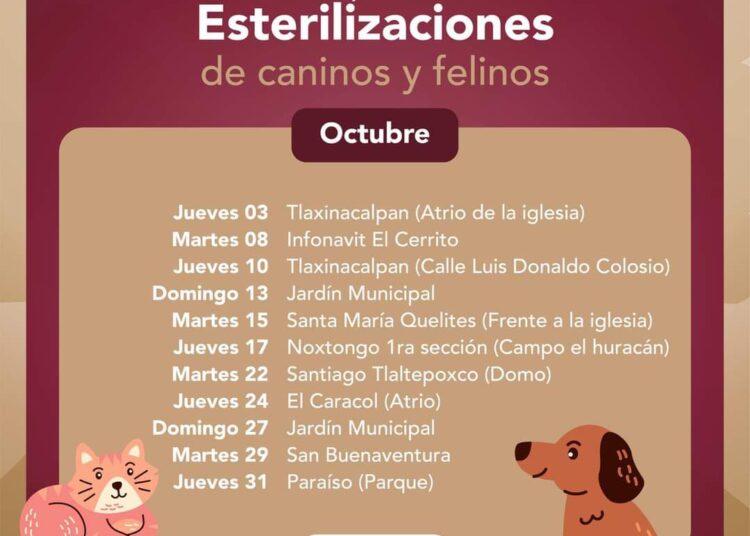 Campaña de Esterilización Gratuita en Tepeji del Río