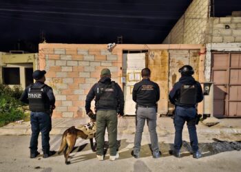 En operativos, SSPH detiene a 5 personas por  delitos contra la salud