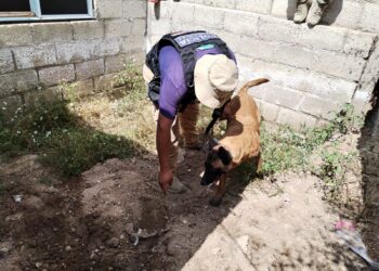 Unidad Canina K-9 de Mineral de la Reforma Apoya en Búsqueda de Personas Desaparecidas