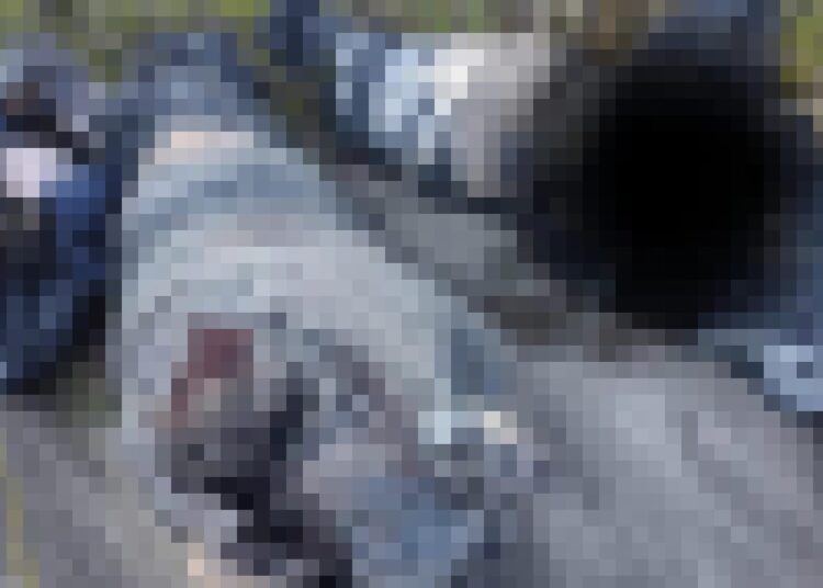 Hallan cuerpos dentro de bolsas de plástico en Epazoyucan