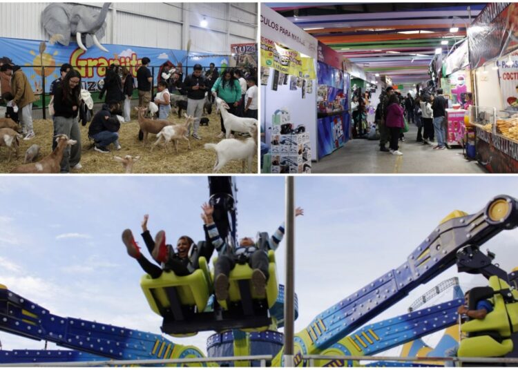 ¿Qué hacer en familia este sábado en la Feria de San Francisco Pachuca Hidalgo 2024?