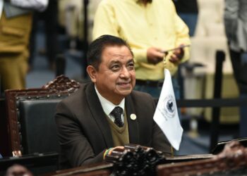 Congreso de Hidalgo planteó mayores sanciones al maltrato animal