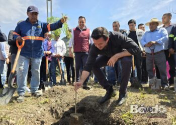 Inicia programa de reforestación en Tula de Allende