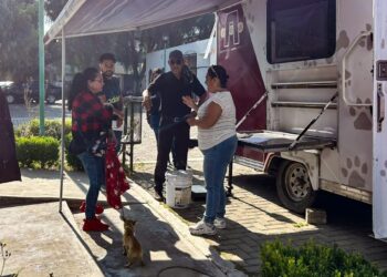 “Esterilizando Ando”, la campaña que promueve el bienestar animal y tenencia responsable en Tizayuca