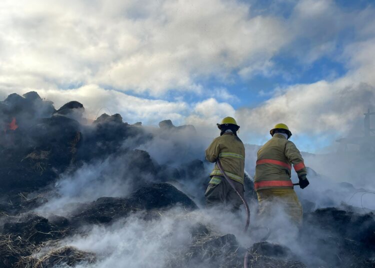Protección Civil de Tepeapulco controla incendio