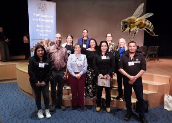 Proyecto hidalguense de protección a polinizadores gana premio internacional