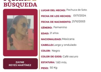 Ficha de búsqueda a nombre de Zayne Reyes Martínez