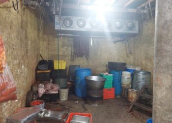 Implementan operativos en comercios vinculados con la venta irregular de cárnicos