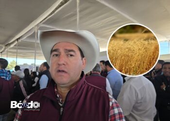 Cerveceras reducen precio de la cebada: Gobierno de Hidalgo busca solución