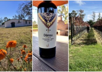 Viñedo El Refugio: Reconocido como Destino Promesa en los GITH 2024