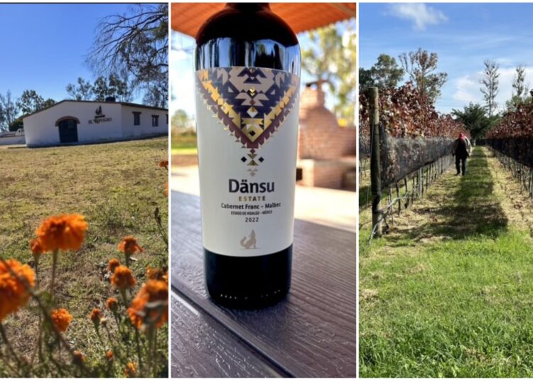 Viñedo El Refugio: Reconocido como Destino Promesa en los GITH 2024