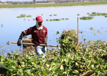 Intensifican acciones por la protección ambiental en la Presa Endhó