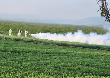 Tula intensifica lucha contra el lirio acuático y el mosco culex en la presa Endhó