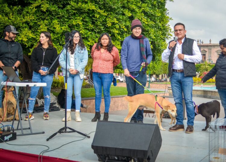 Ixmiquilpan promueve la adopción responsable con “Un hogar para cada huella”