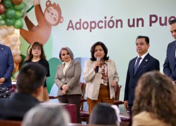 El Sistema DIF Hidalgo avanza en el proceso de adopción y en la protección de derechos infantiles