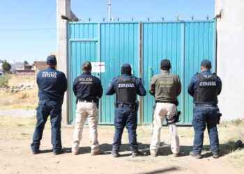 Desmantelan taller de vehículos robados y autopartes en Hidalgo