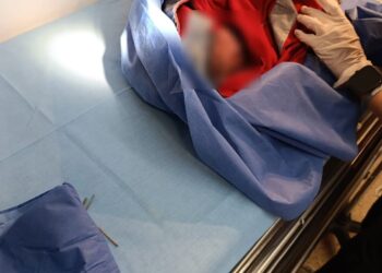 Encuentran a recién nacida abandonada en San Agustín Tlaxiaca 