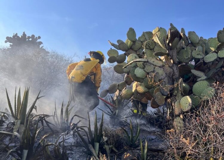 Protección Civil de Pachuca refuerza acciones para prevenir incendios