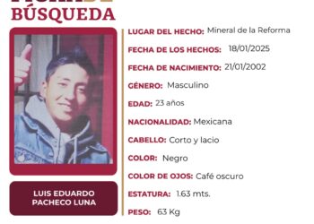 Ficha de Búsqueda a nombre de Luis Eduardo Pacheco Luna