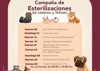 El Gobierno de Tepeji del Río refuerza campaña gratuita de esterilización de mascotas