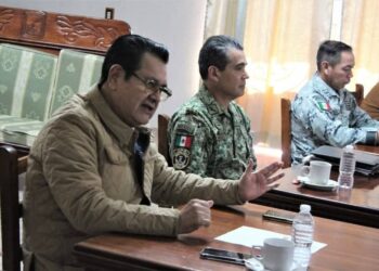 Hidalgo refuerza acciones contra la tala clandestina en varios municipios