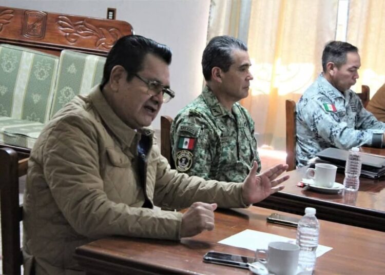 Hidalgo refuerza acciones contra la tala clandestina en varios municipios