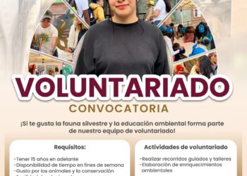 ¡Únete al Voluntariado de Rescate y Rehabilitación de Fauna en Pachuca!