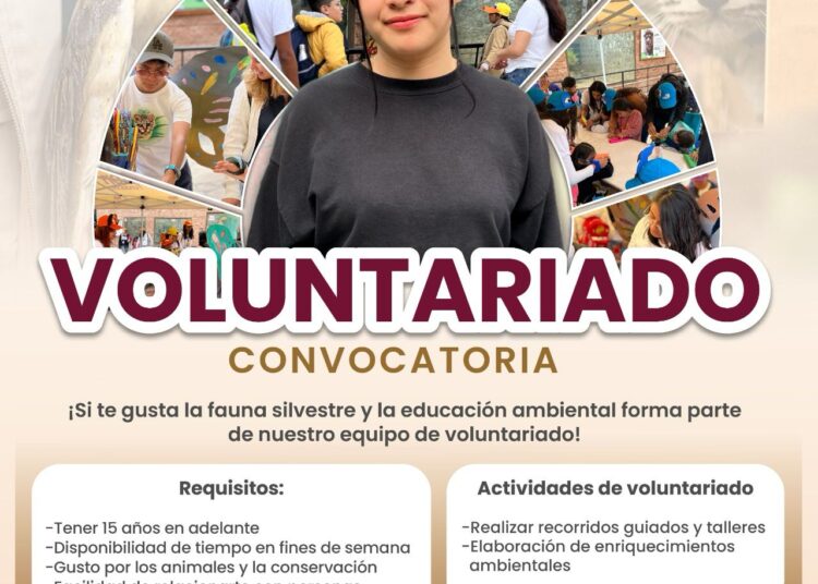 ¡Únete al Voluntariado de Rescate y Rehabilitación de Fauna en Pachuca!