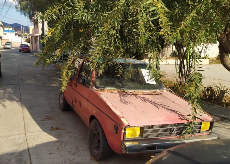 SSPTyV intensifica retiro de vehículos abandonados en Pachuca