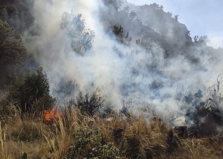 Hidalgo refuerza acciones contra incendios forestales y exhorta a la prevención ciudadana