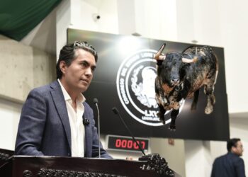 Hidalgo podría prohibir las corridas de toros