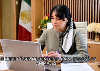 Tizayuca crea el Área Técnica de Protección y Bienestar Animal para promover la tenencia responsable