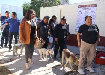 Actopan lanza campaña piloto para esterilizar 100 mascotas de forma gratuita