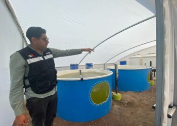 Tizayuca promueve vacaciones responsables con el medio ambiente