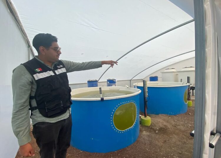 Tizayuca promueve vacaciones responsables con el medio ambiente