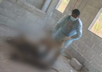 Crueldad animal en Ixmiquilpan: Seis perritos envenenados en la comunidad de Xaxni