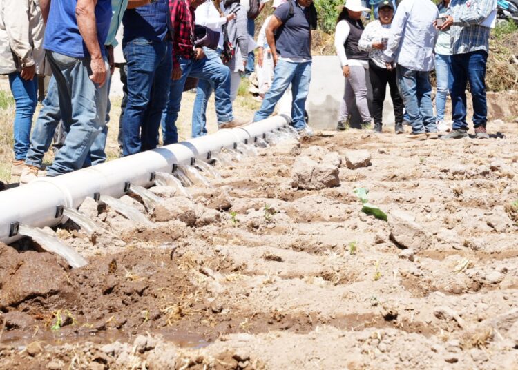 Instalan parcelas modelo para modernizar el riego en Hidalgo