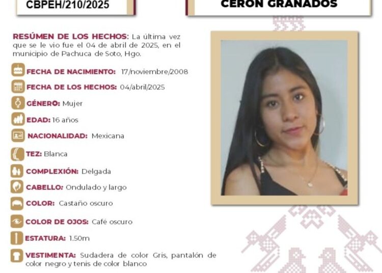 Ficha de búsqueda a nombre de Aylin Cerón Granados