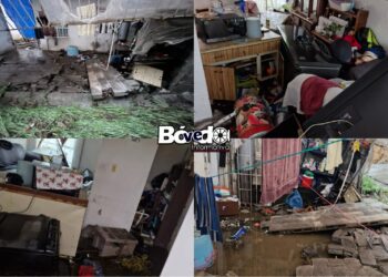 Colapsa barda en Mineral de la Reforma; destruye vivienda y causa la muerte de dos mascotas