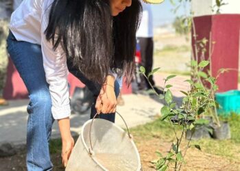 Tizayuca se une a la reforestación sostenible con la plantación de más de 380 árboles